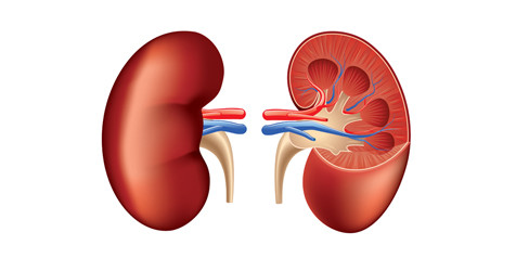 featured image of blog