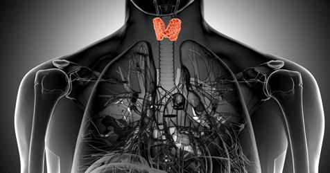 featured image of blog